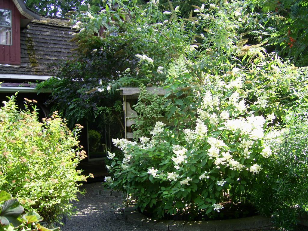 Garden House Hotell Courtenay Eksteriør bilde